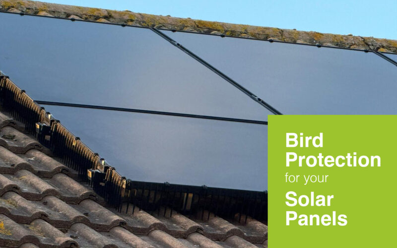 Bird Protection for your Solar Panels